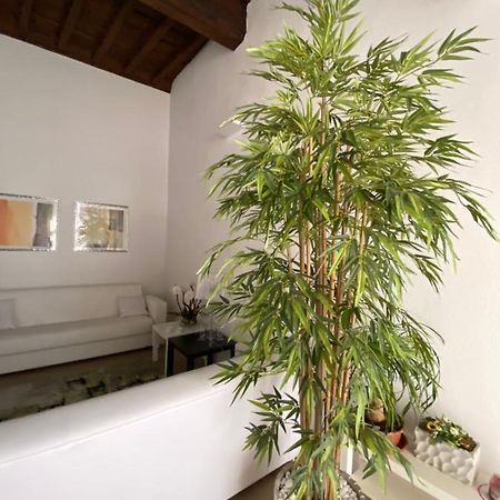 Suite Saffi 99 Viterbo Luaran gambar