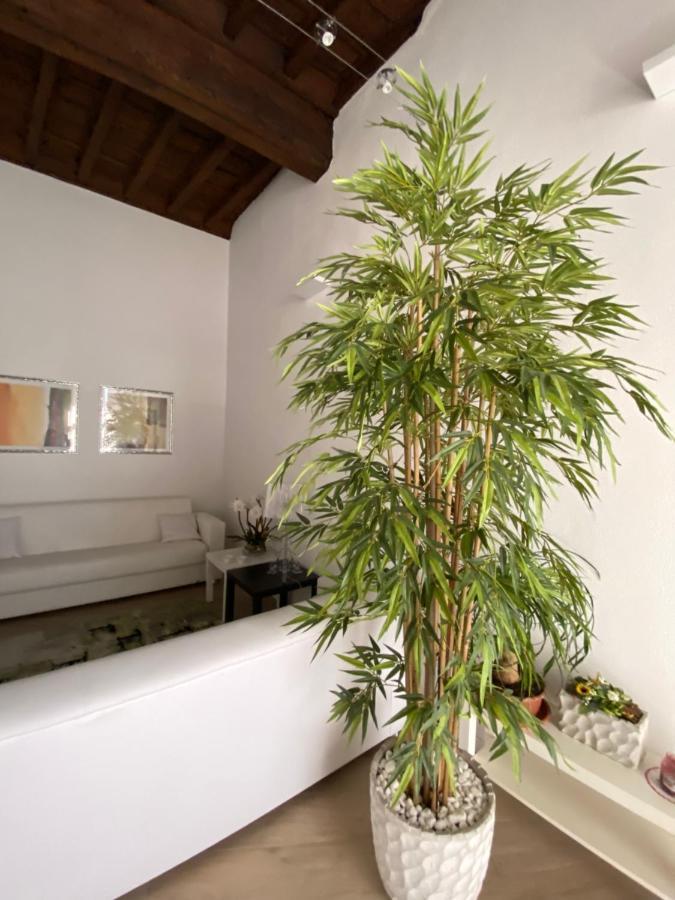 Suite Saffi 99 Viterbo Luaran gambar